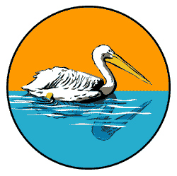 Pelican