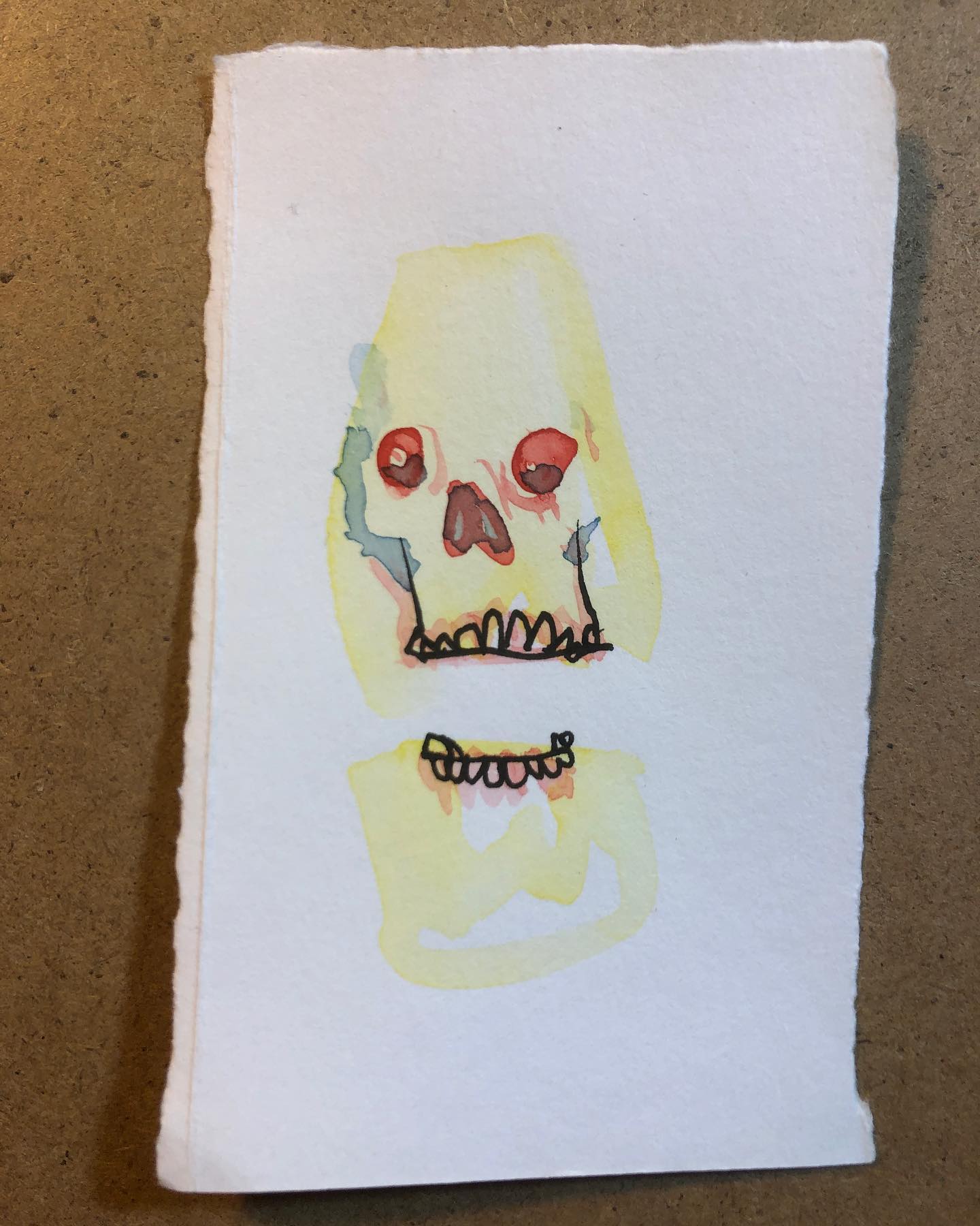 Some Teetheses - ink and watercolor drawing of a skull with defined teeth