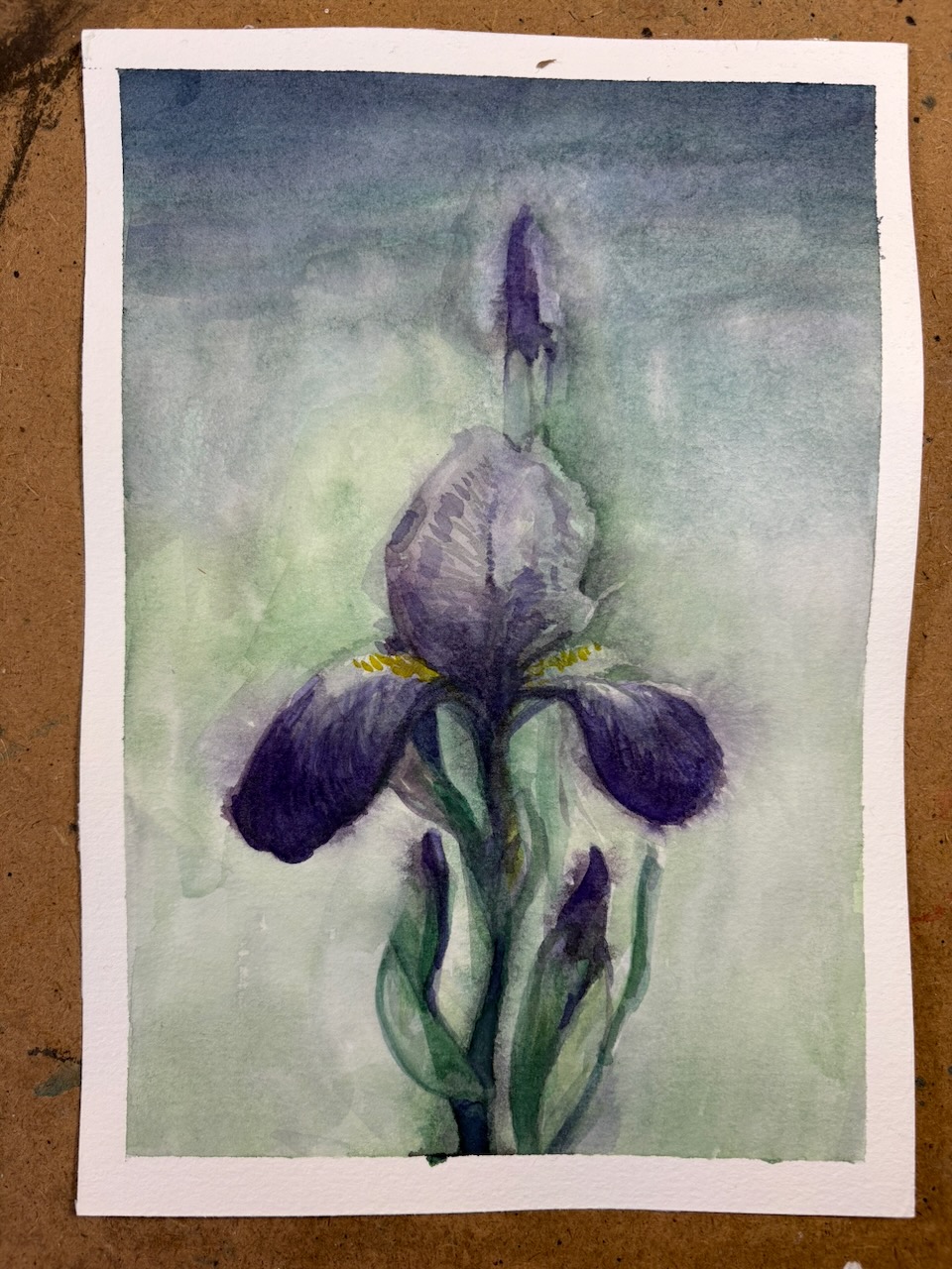 Iris Watercolor Painting